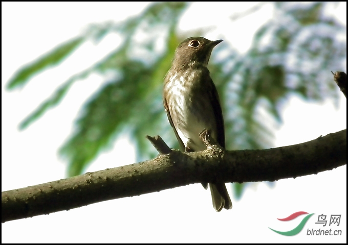 DSCF1910 ����.jpg