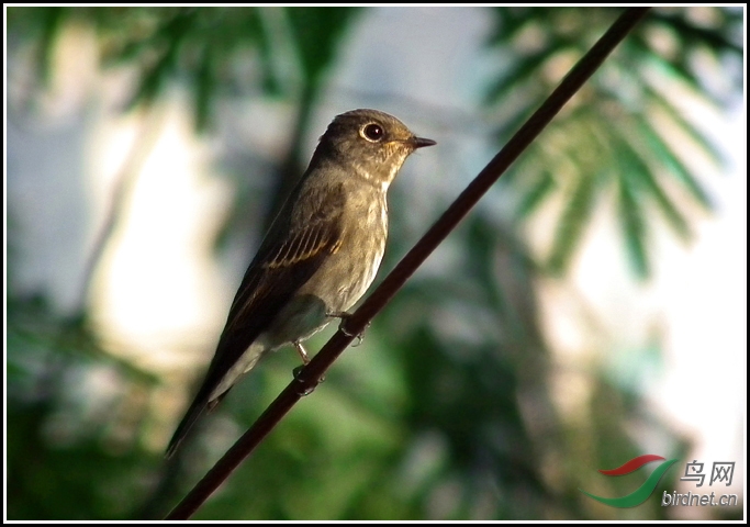 DSCF1945 ����.jpg