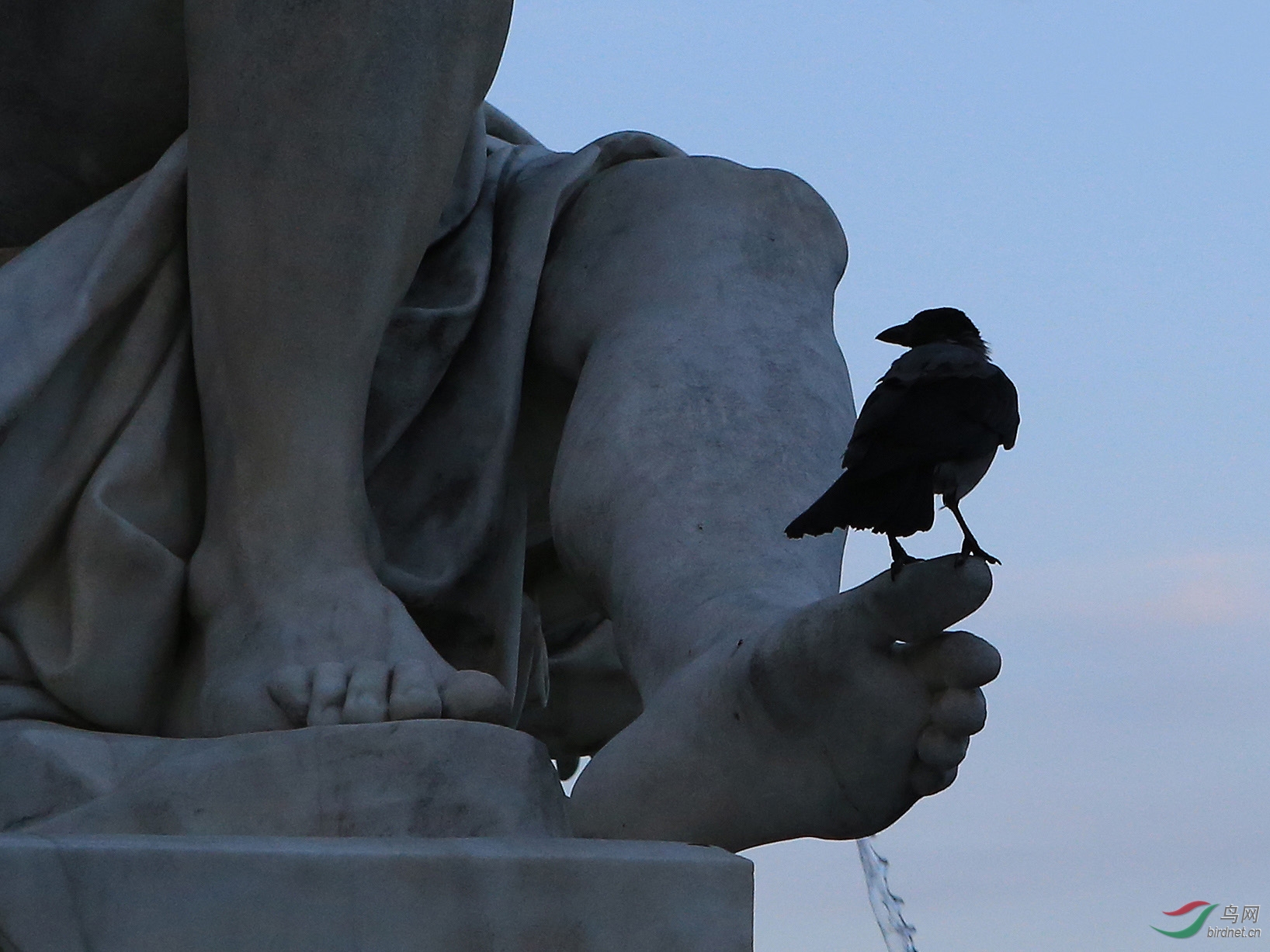 [林鸟] 站在巨人脚上--奥地利