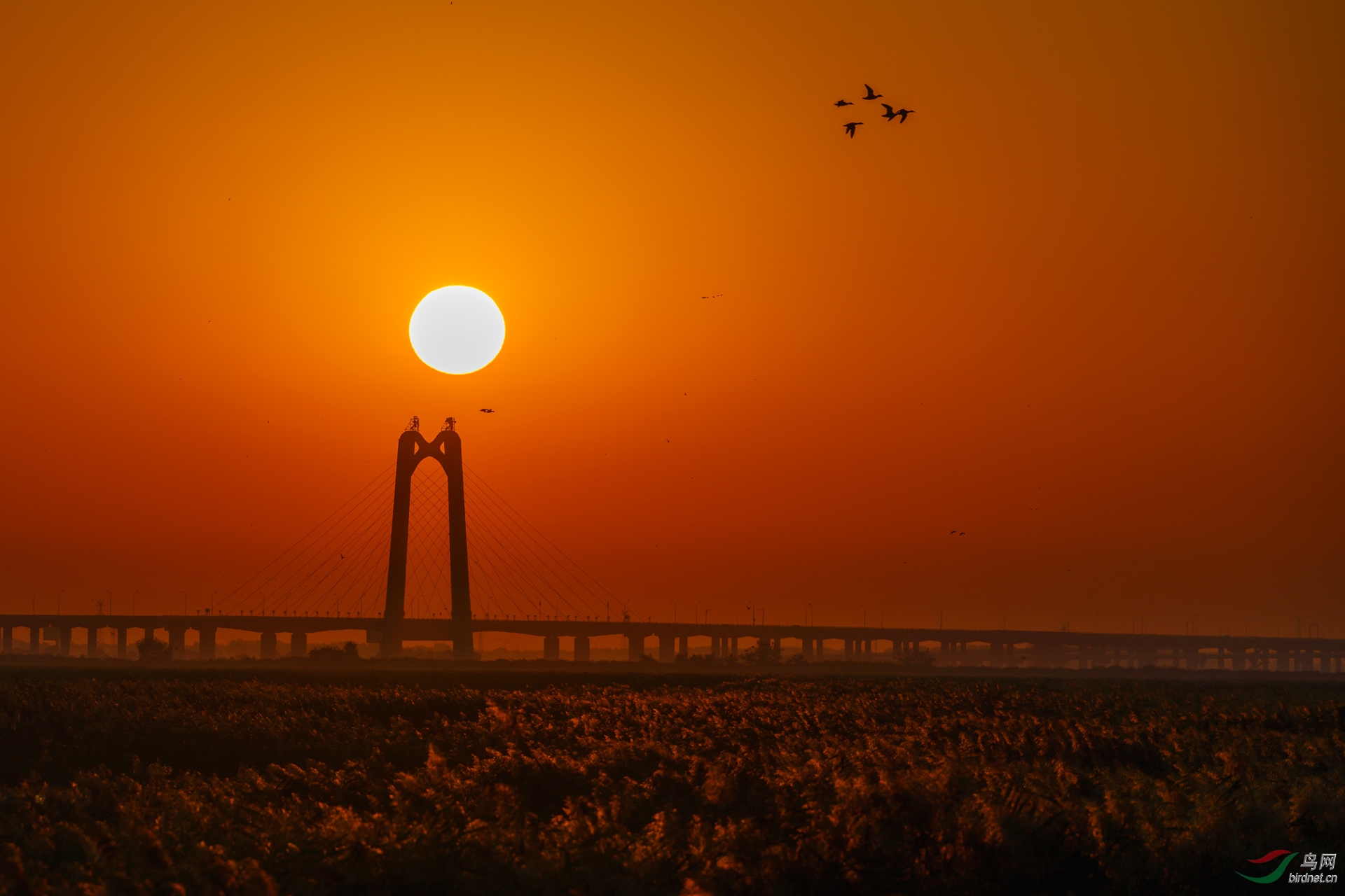 大庆龙凤湿地日出