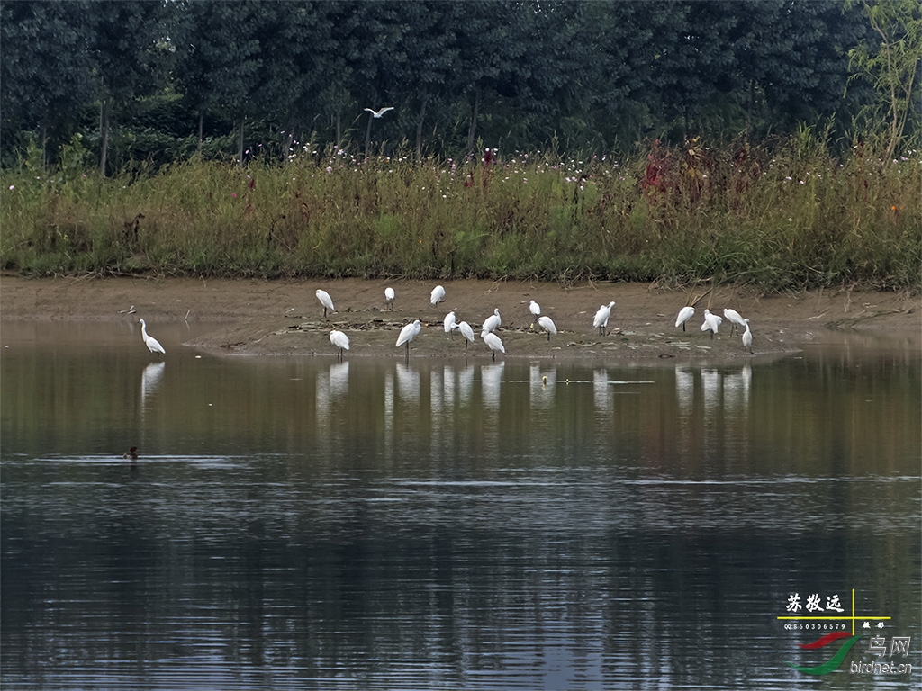 DSCF0369СС.jpg