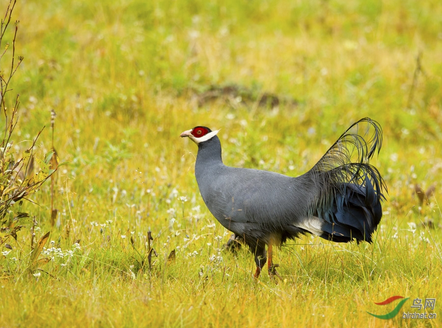 甘南之行收获之旅