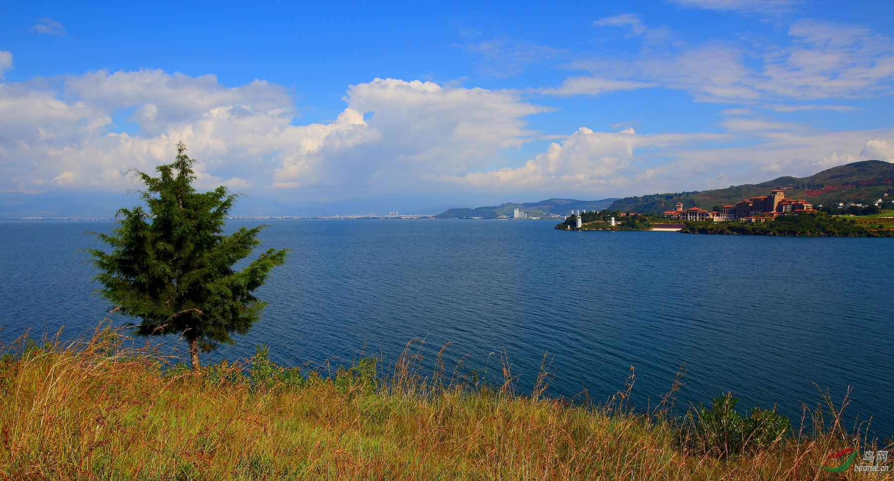 百花潭的小翠 云南抚仙湖风景