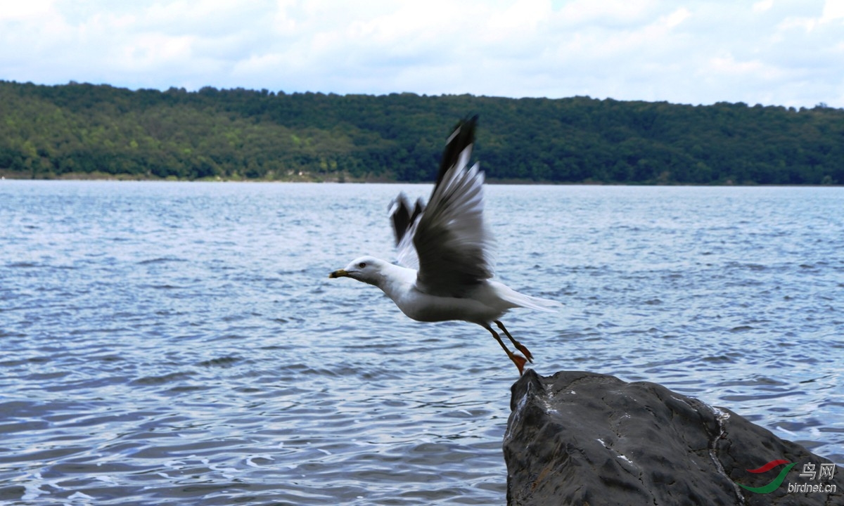 ��ɵ�һ˲��