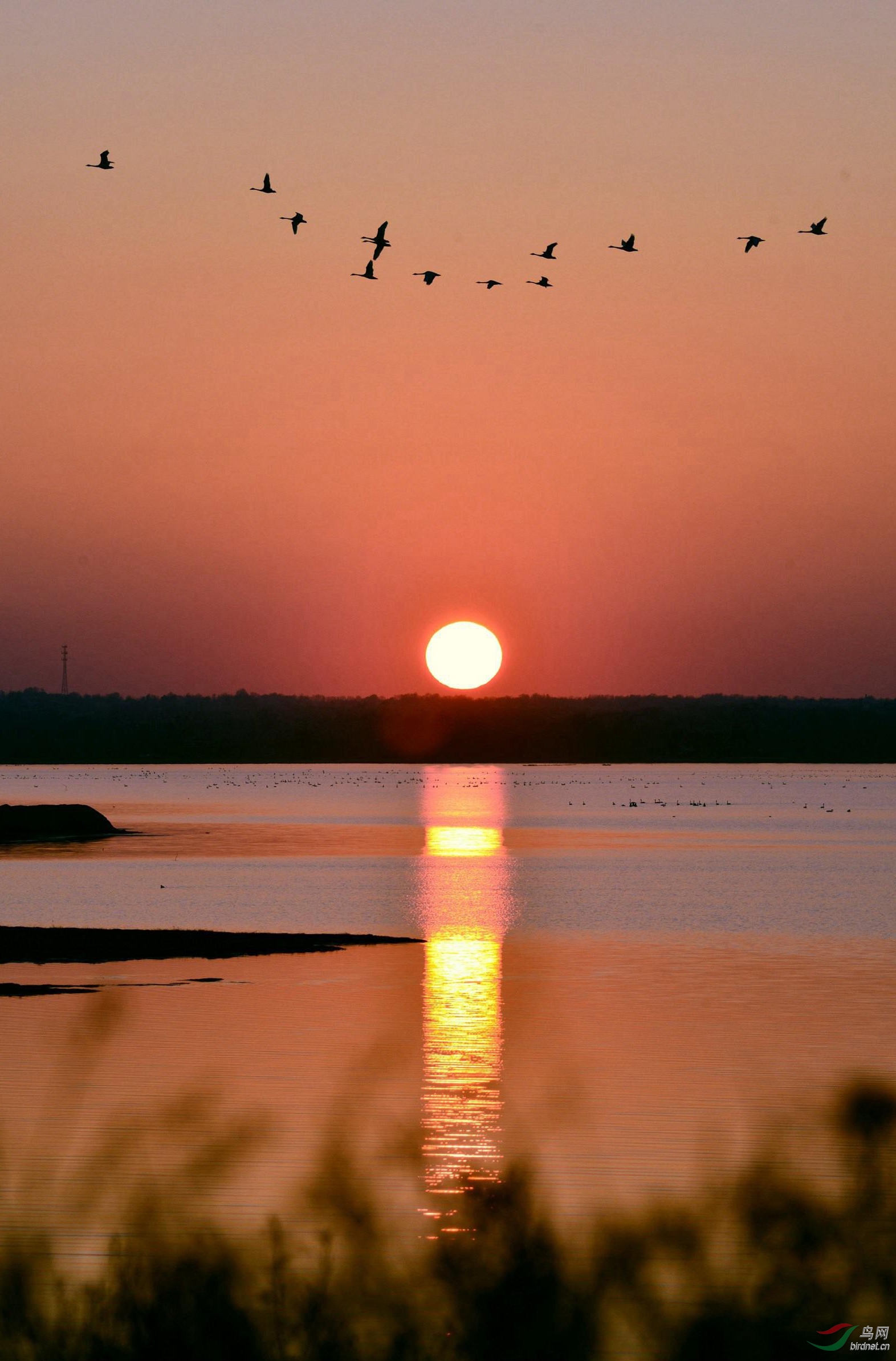 《最美夕阳红》