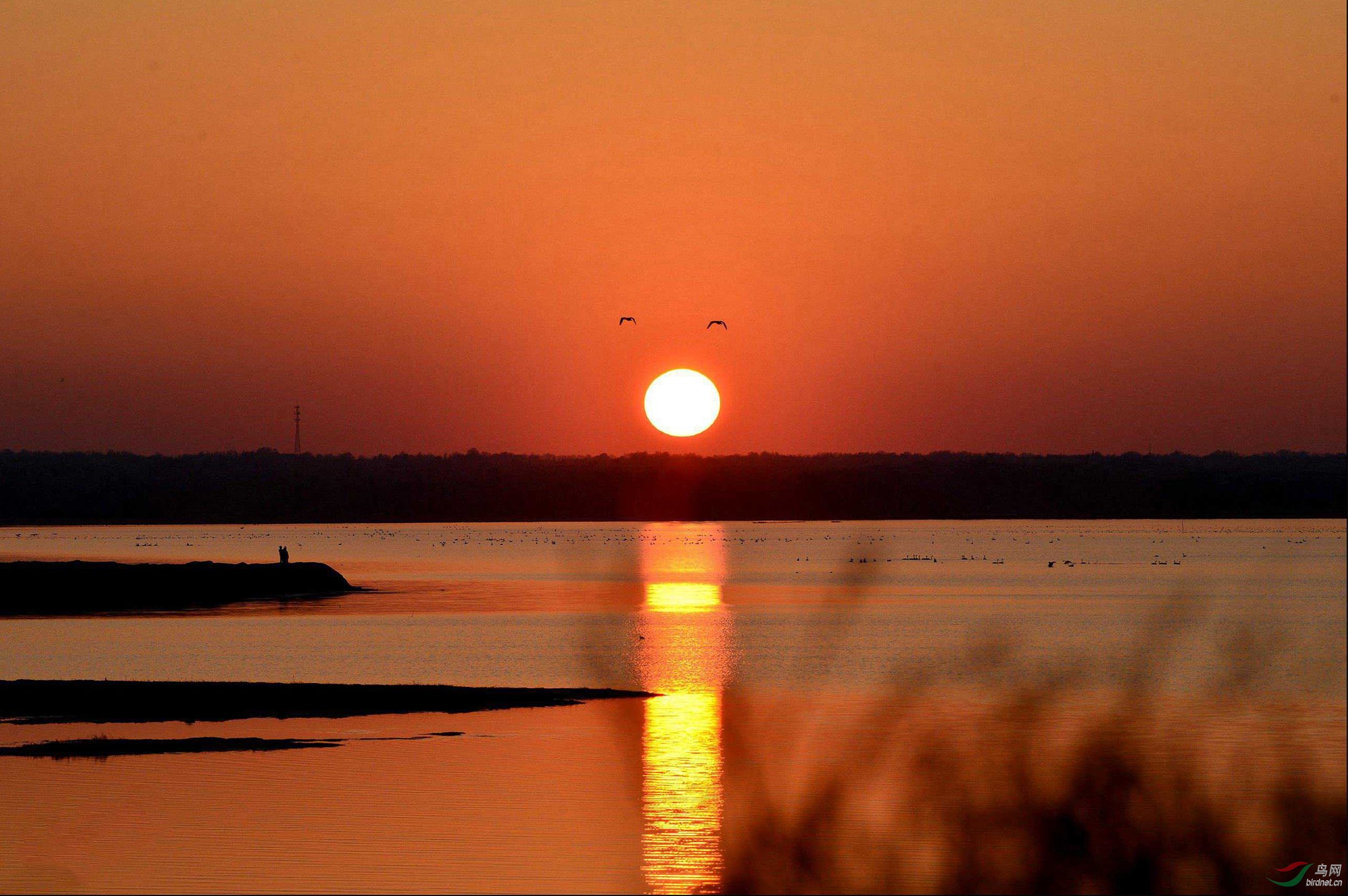 最美不過夕陽紅