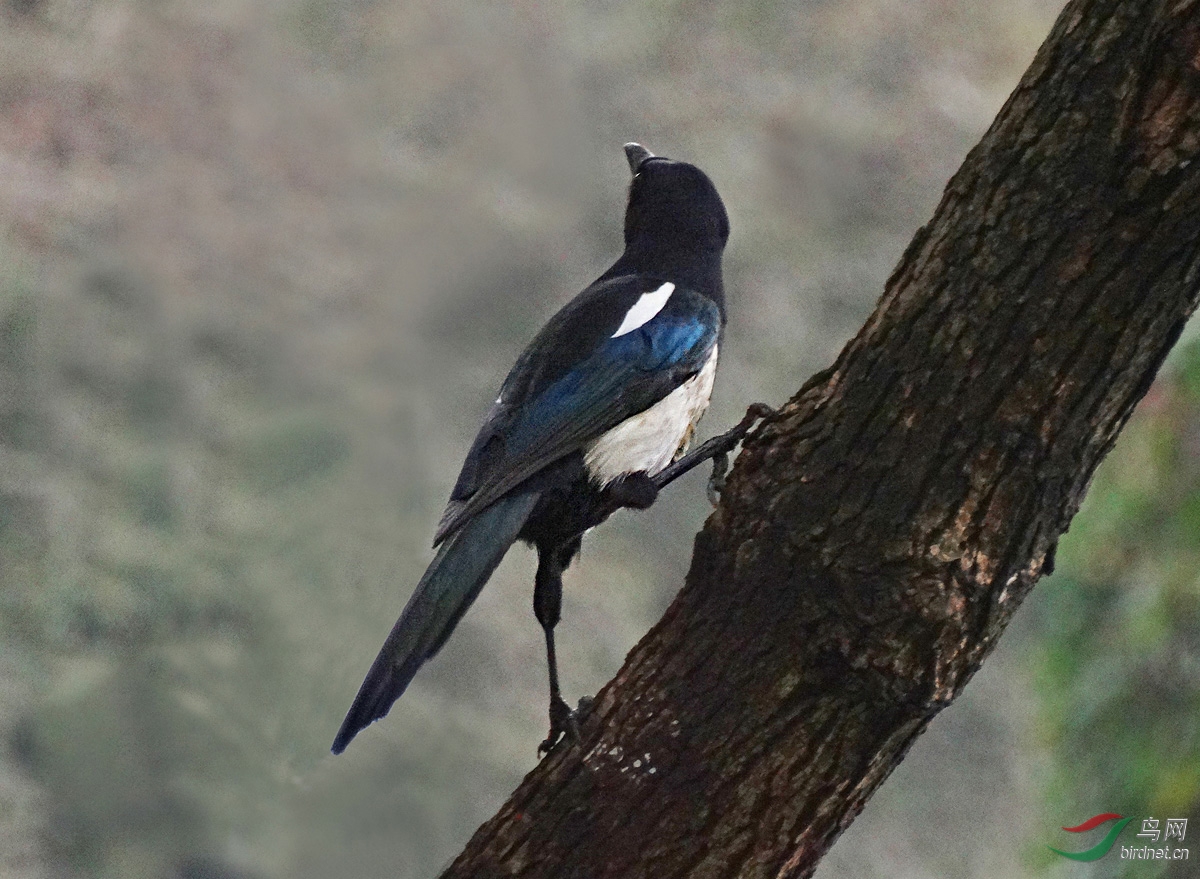 DSC06992 ����.jpg