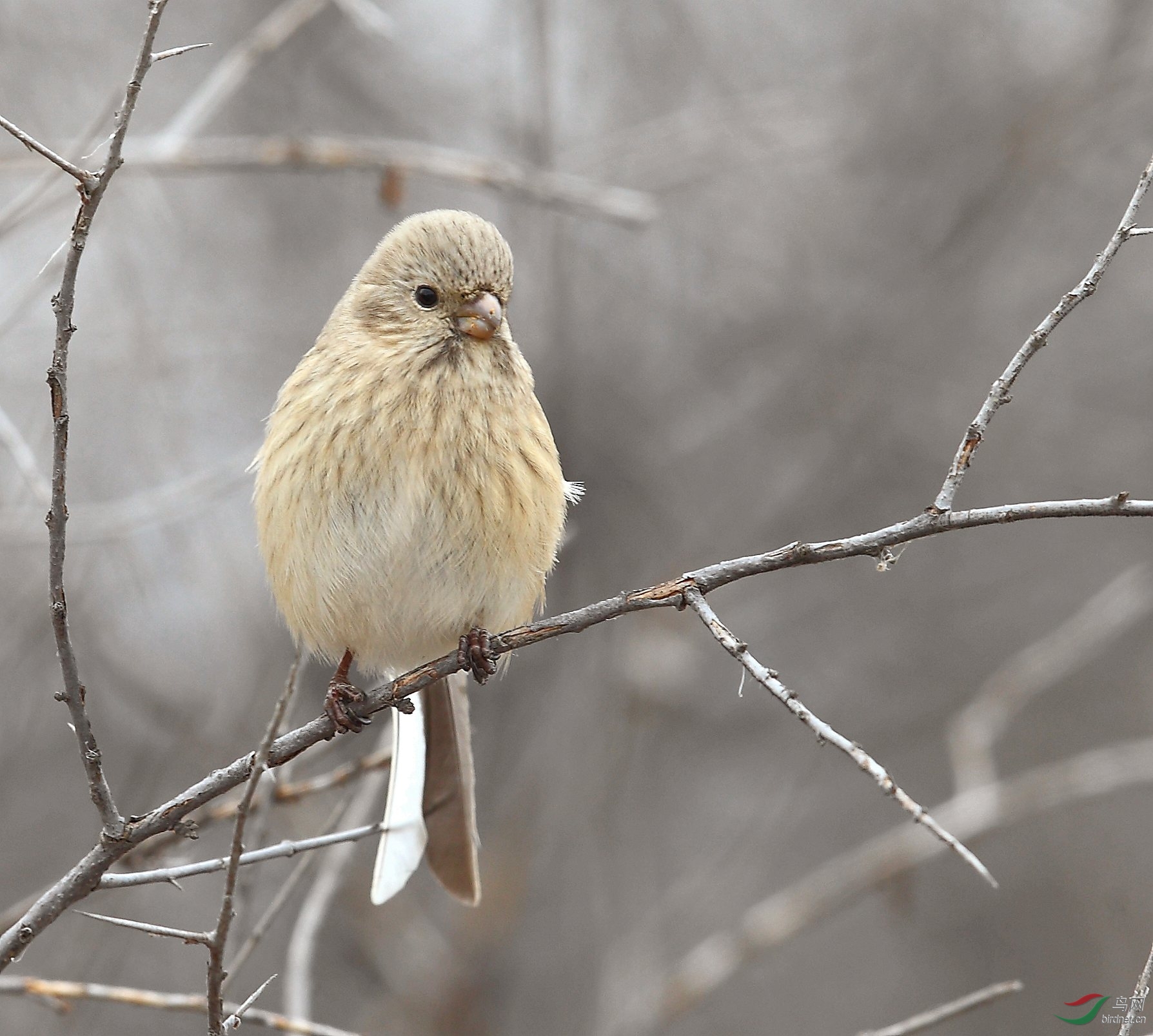 女的没有男的漂亮