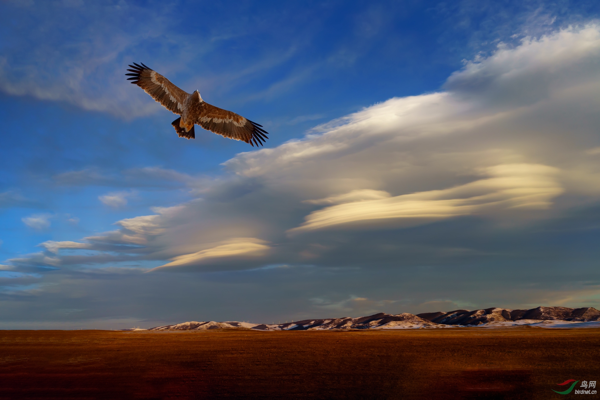 鹰击长空(创意)