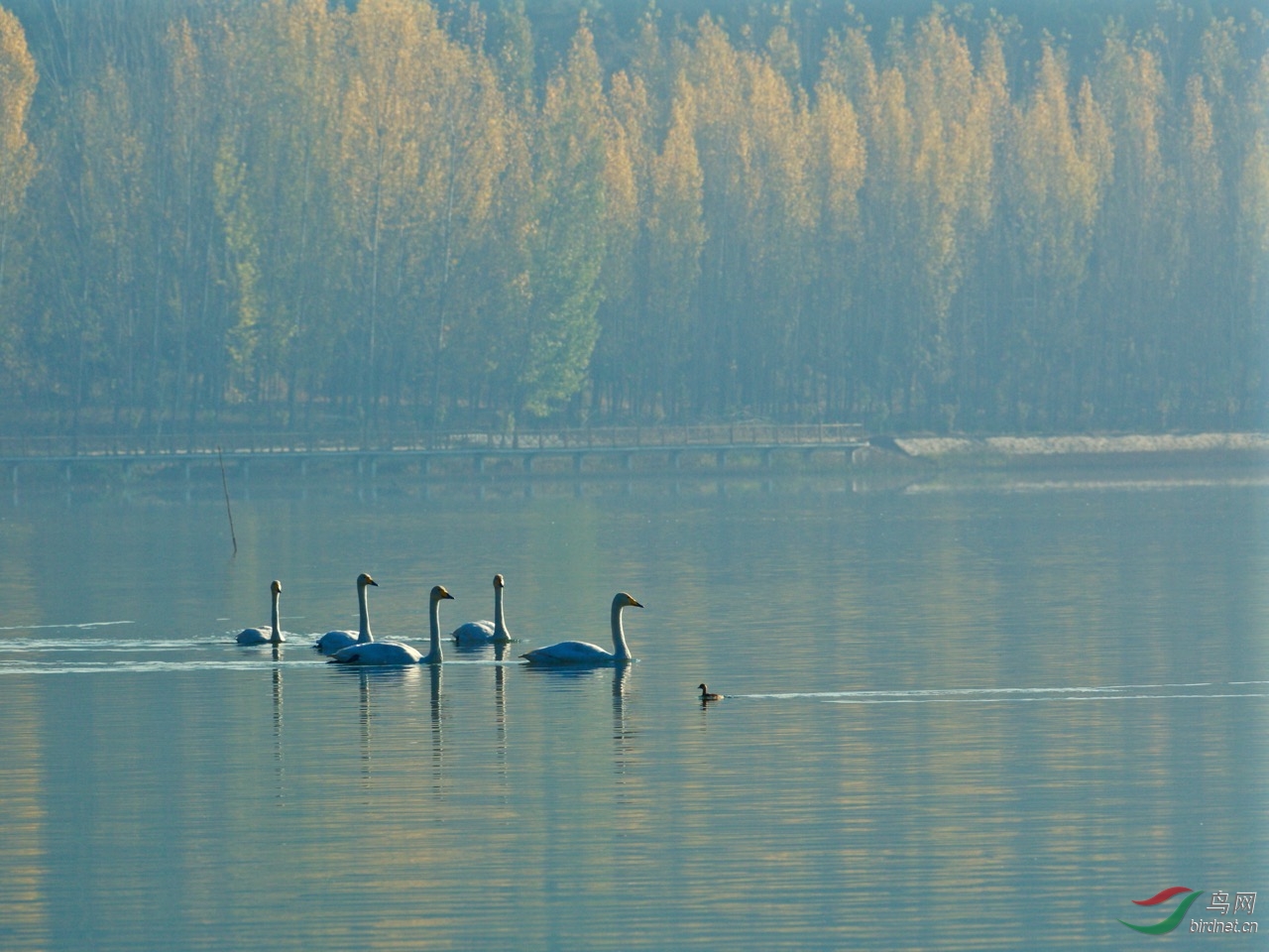 DPP_0006.jpg