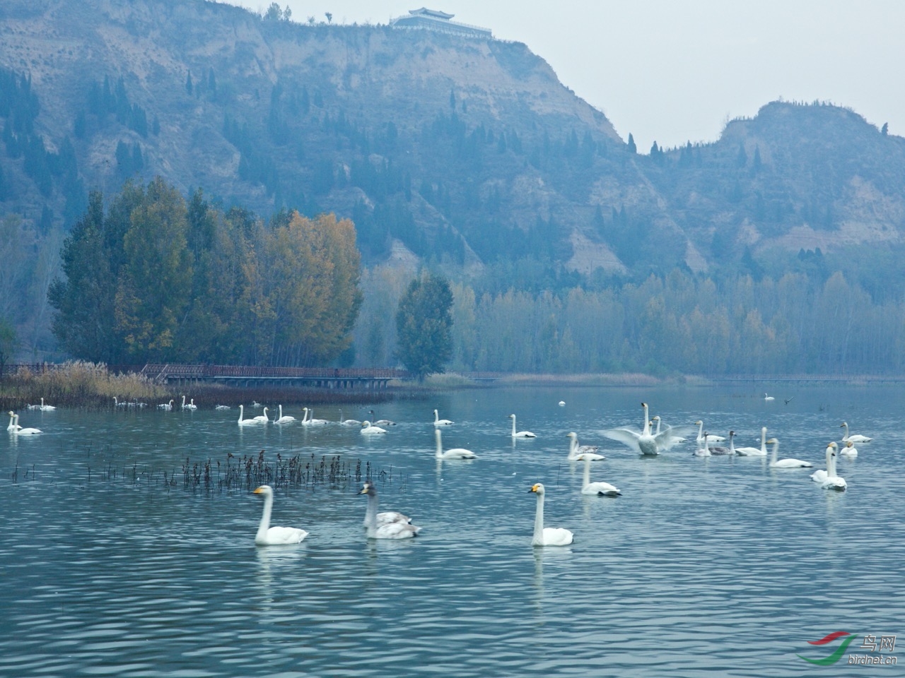 DPP_0010.jpg