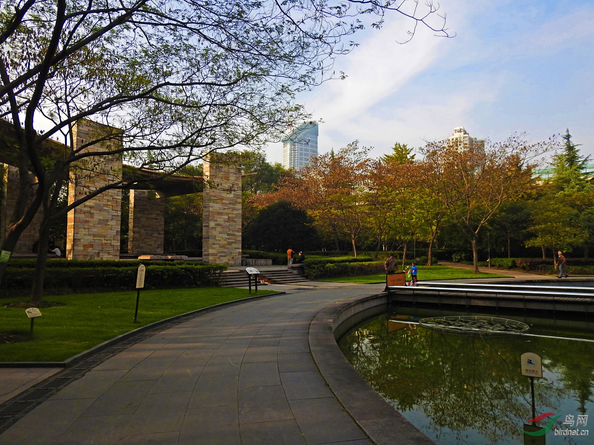 DSCN0682 ����2.jpg