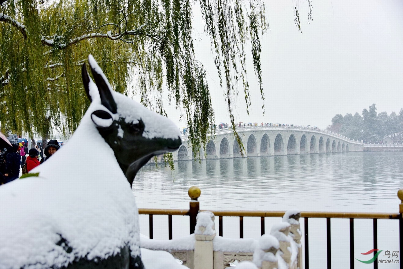 漫雪颐和园