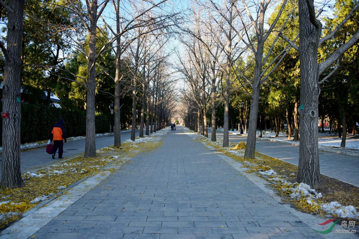 初雪后的地坛公园