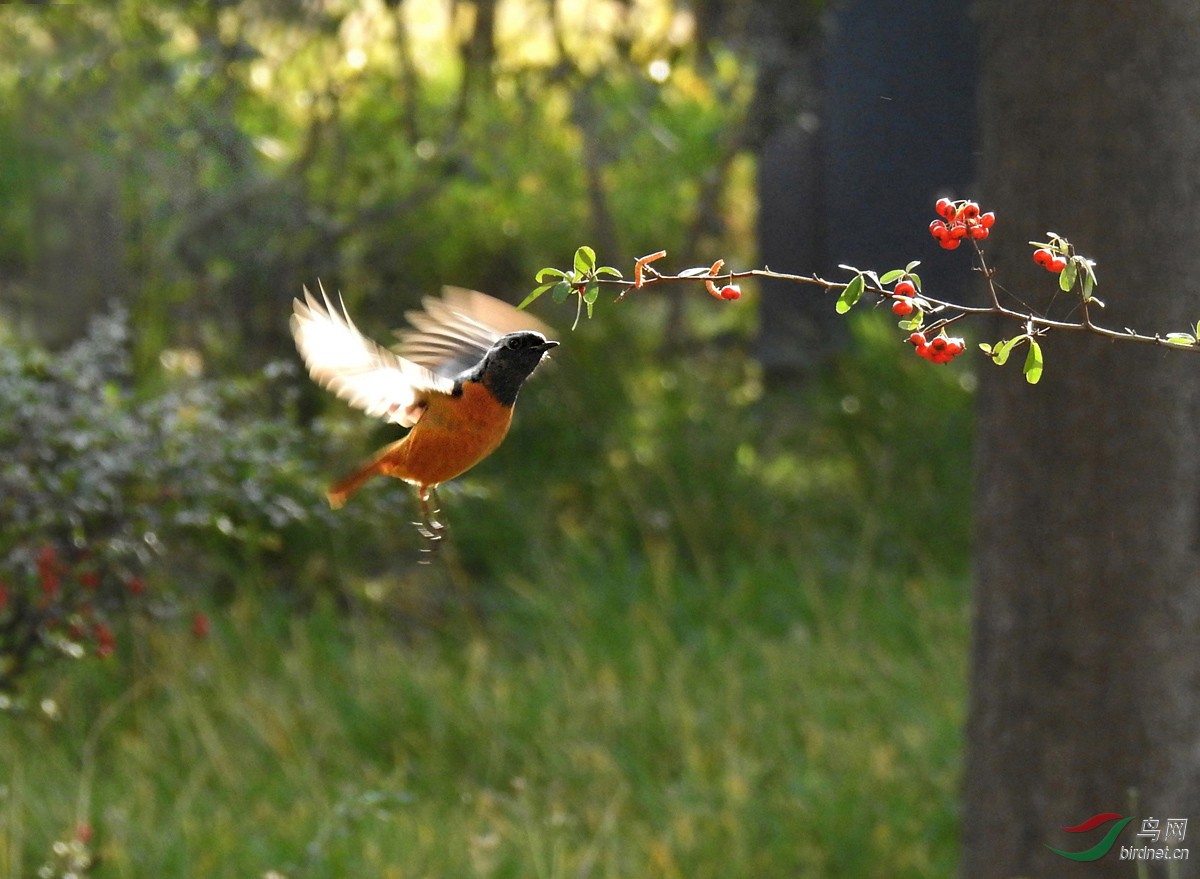 DSCN1707 ����2.jpg