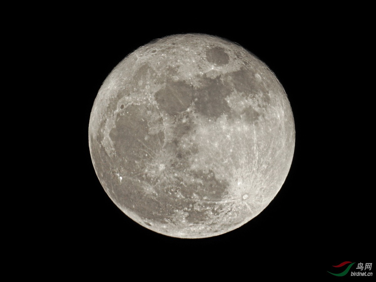 DSCN1159 ����.jpg