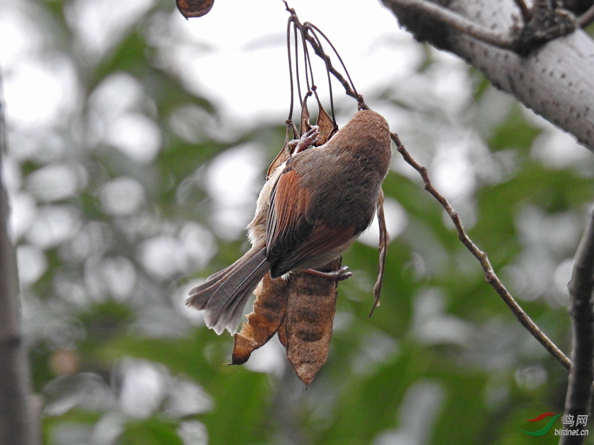 DSCN2075 ����.jpg