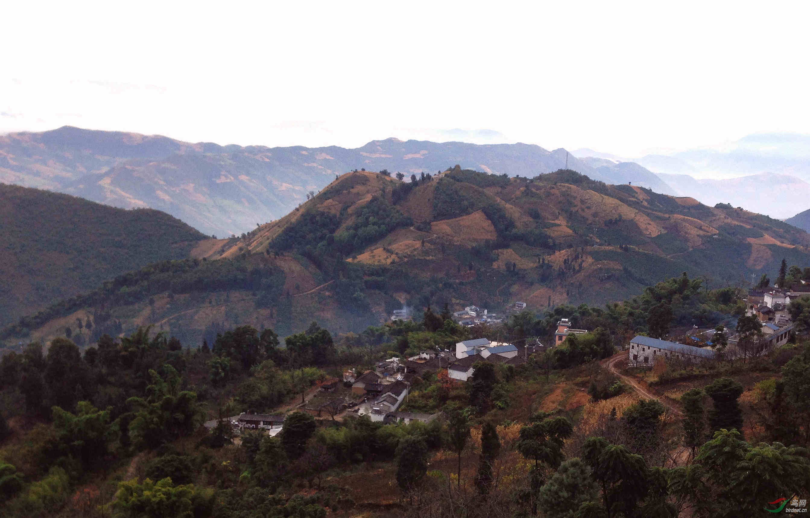 高黎贡山风景图片图片