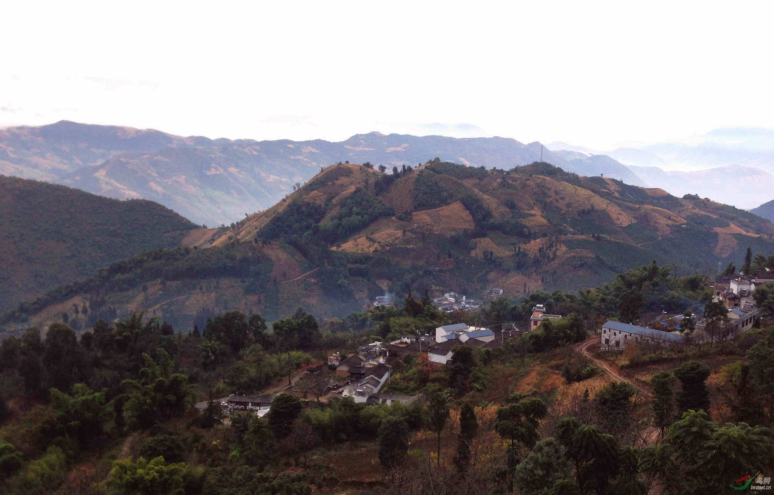 高黎贡山全景图图片