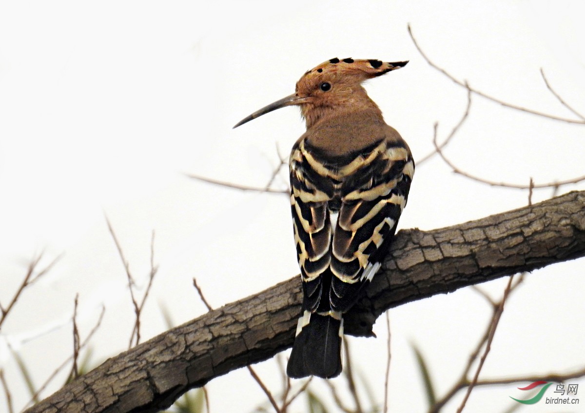 DSCN2050 ����2.jpg