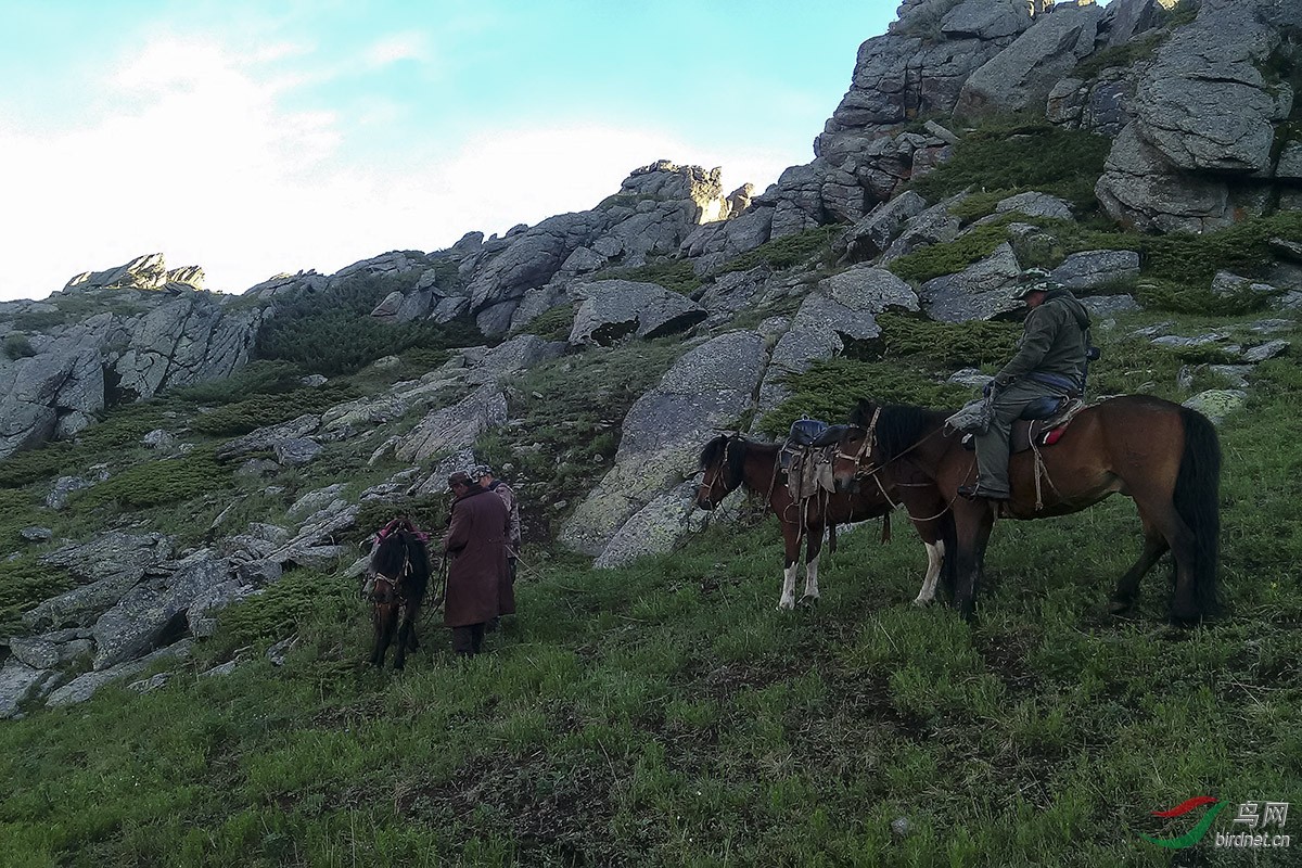 ��Ϣ����