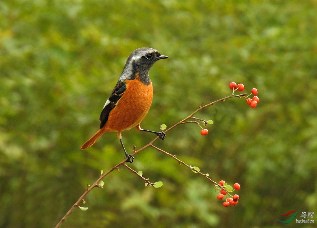 DSCN3500 ����2.jpg