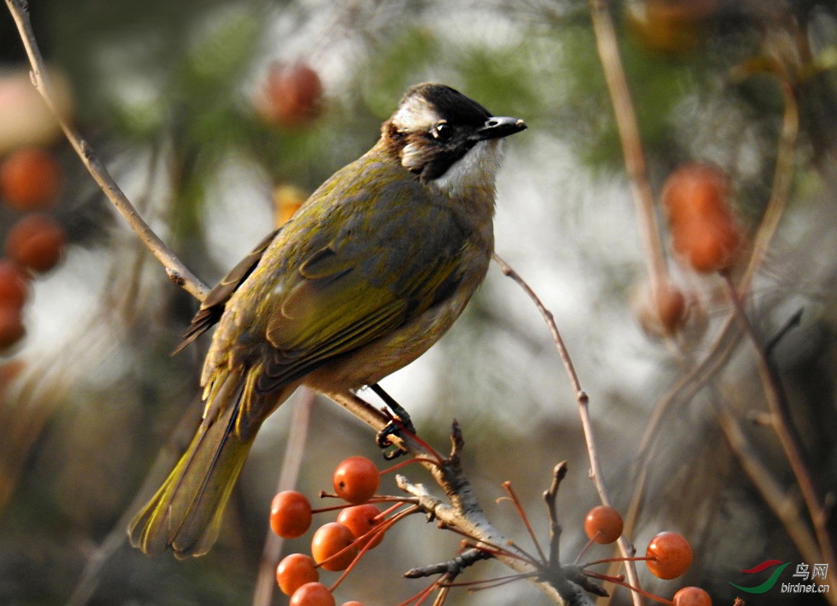 DSCN2840 ����2 ����.jpg