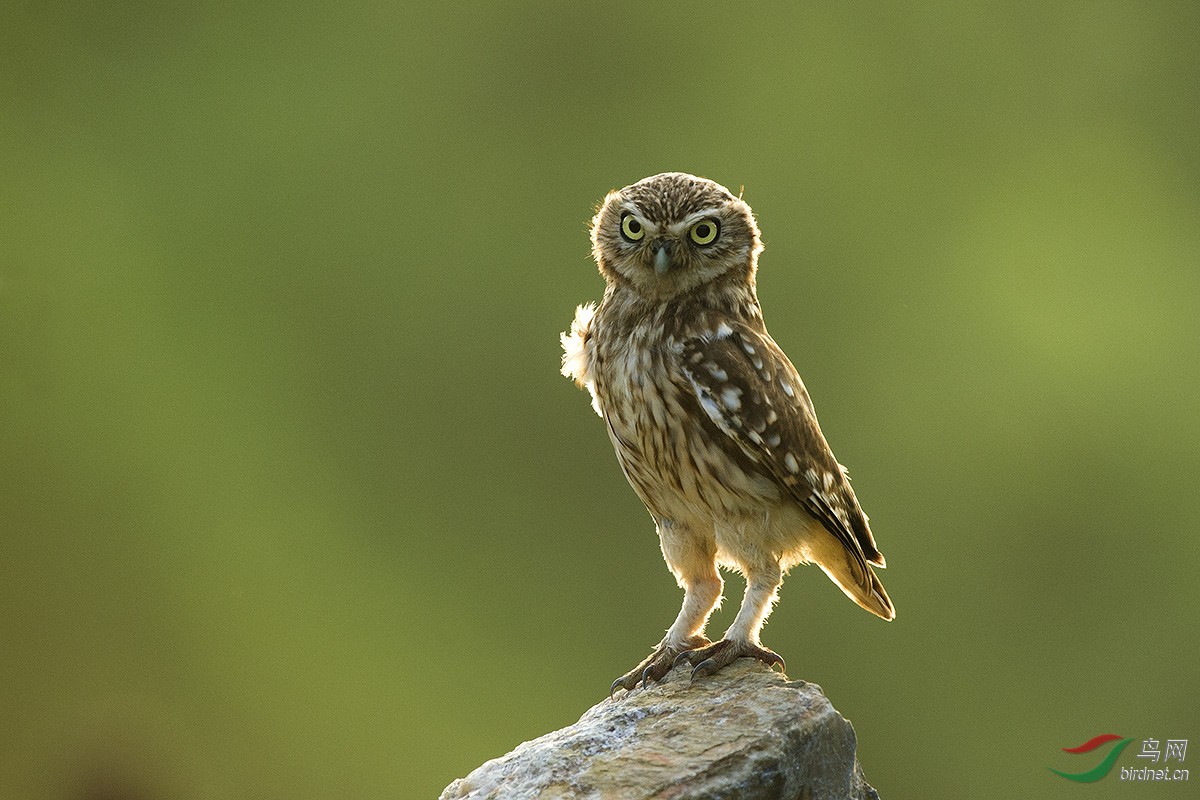DSC_9000_43664.jpg