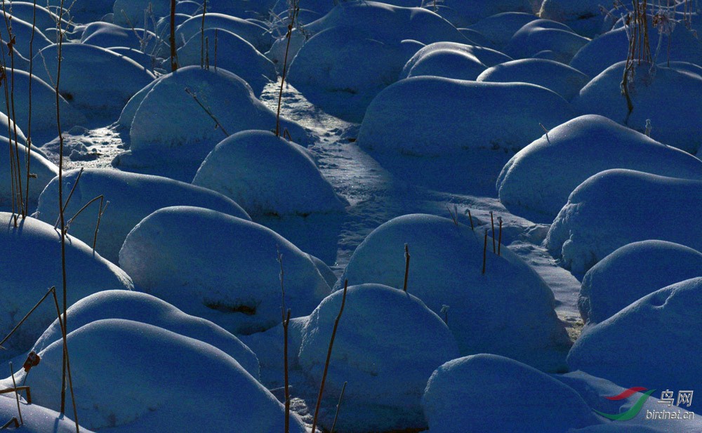 冰雪园林小景设计图片