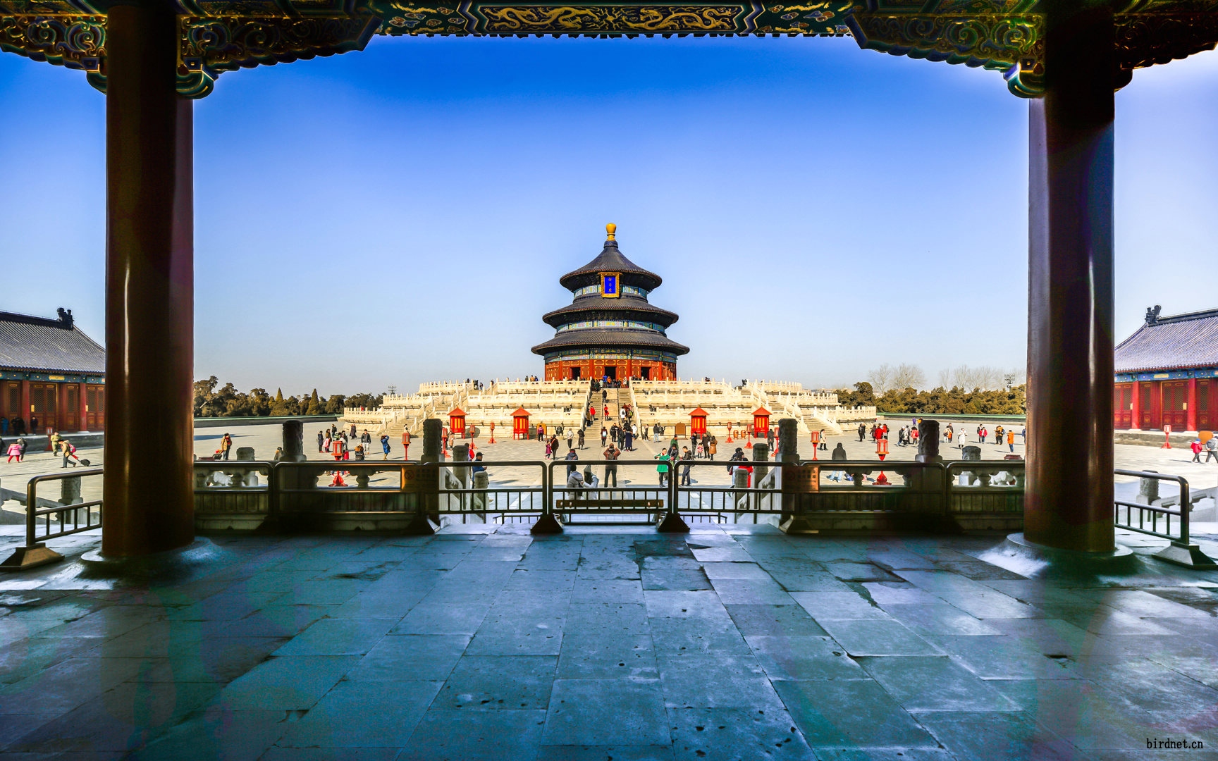 没去拍鸟发几张昨天拍的天坛照片祝鸟友们春节愉快
