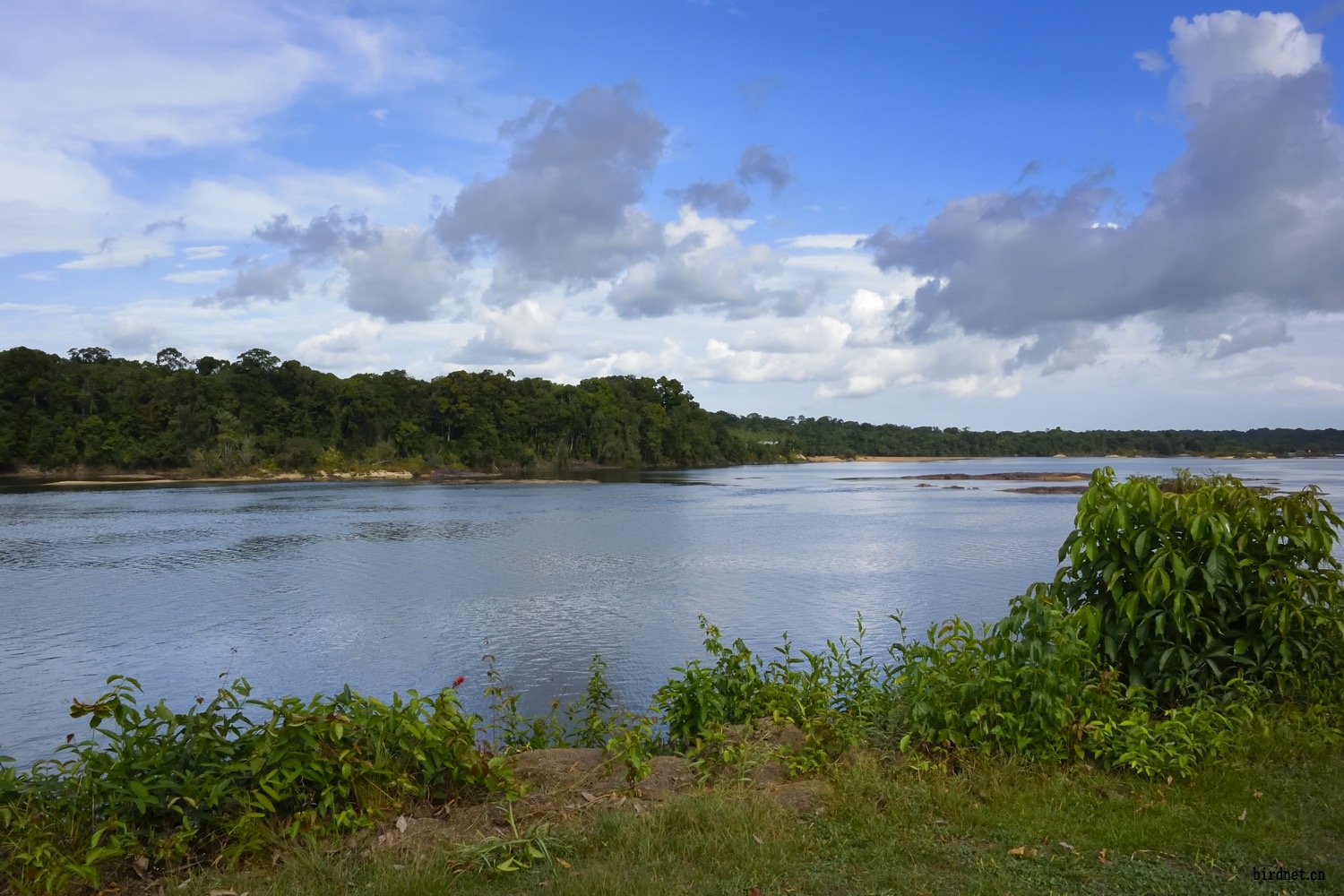 DSC_1390.jpg