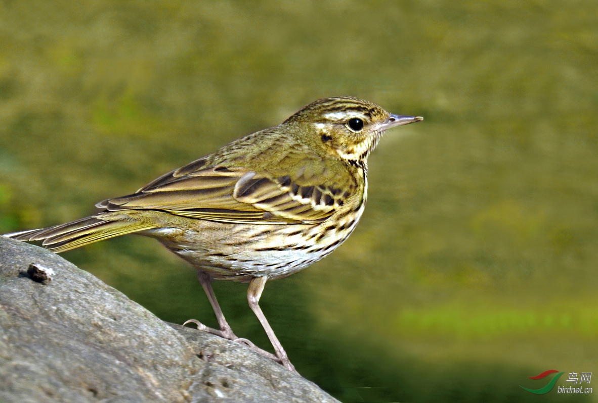 DSCN5581 ����2.jpg