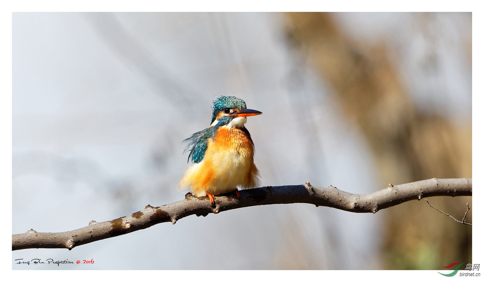 400doii大绿兔实拍欣赏