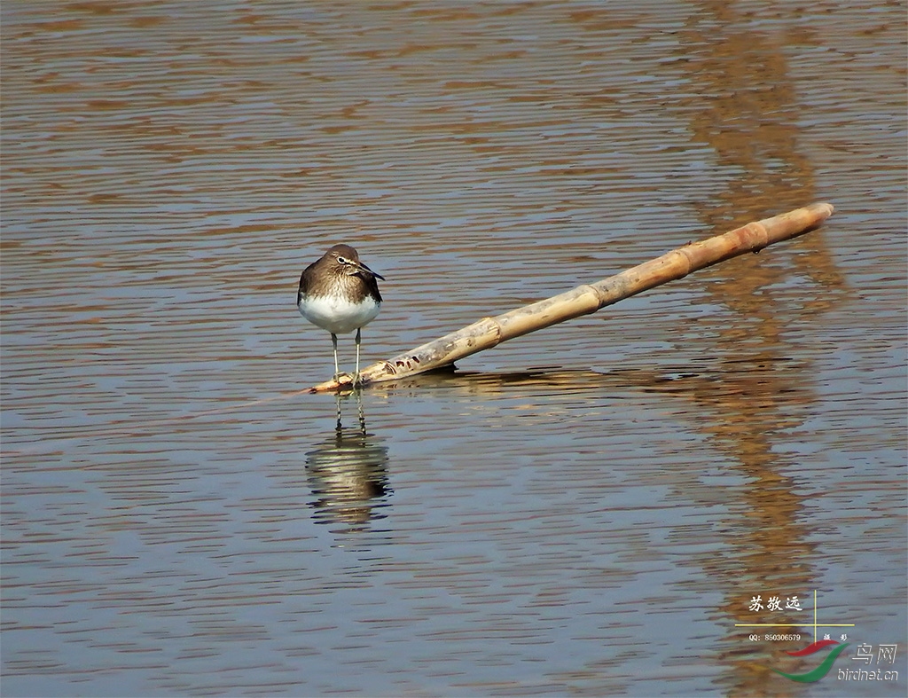 DSCF2029СС.jpg