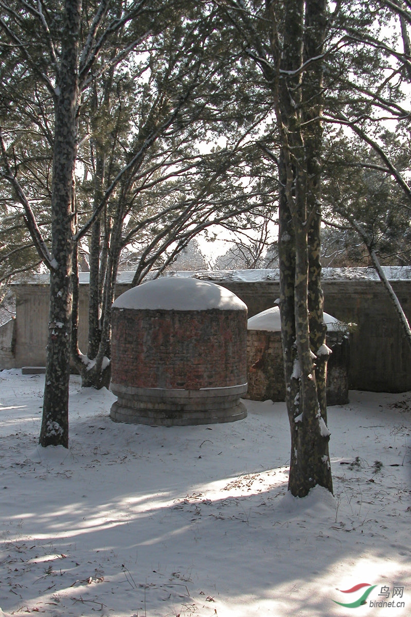 七王坟雪景