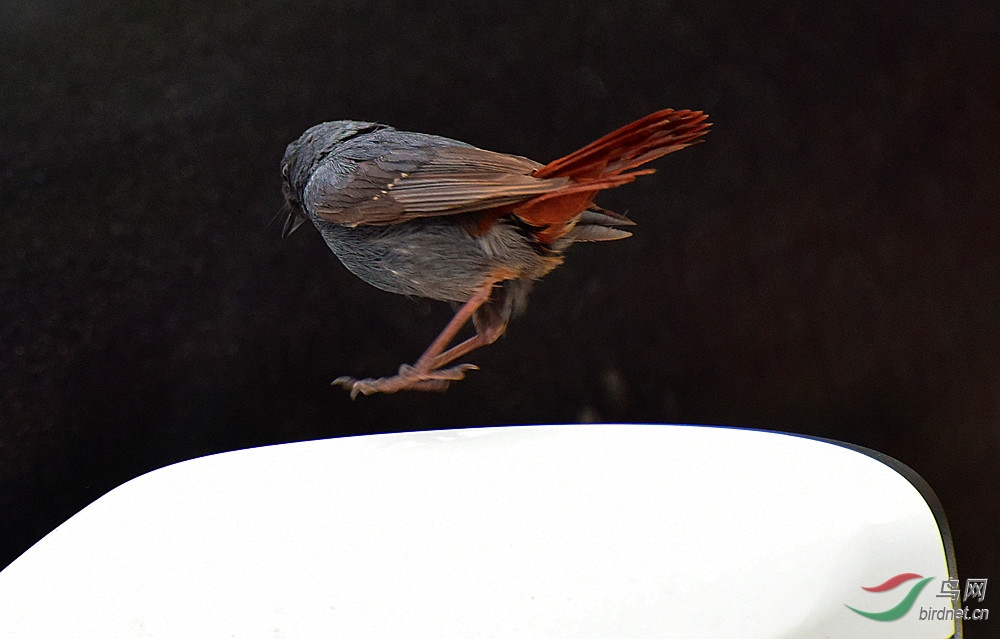 DSC_9426_����.jpg