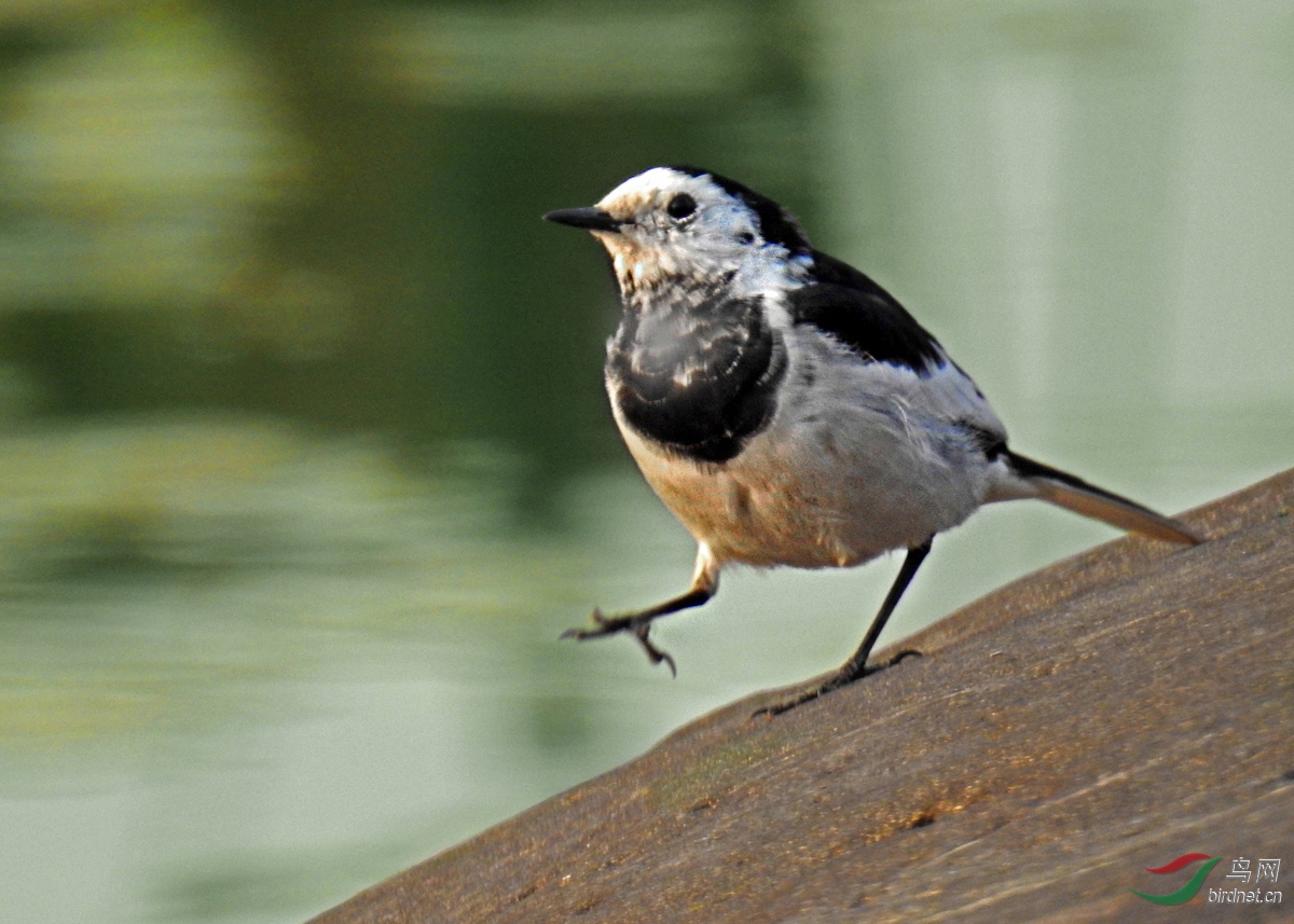 DSCN6023 ����2.jpg