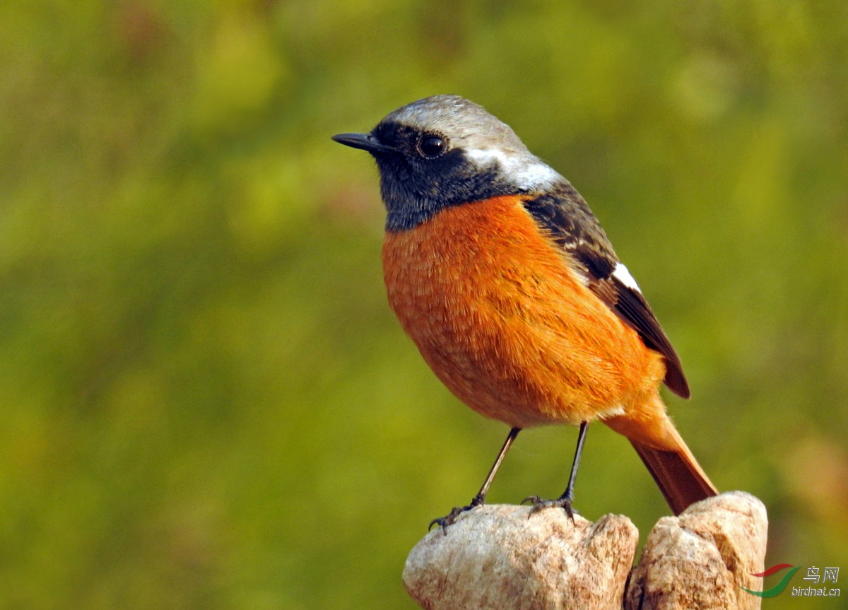 DSCN6623 ����2.jpg