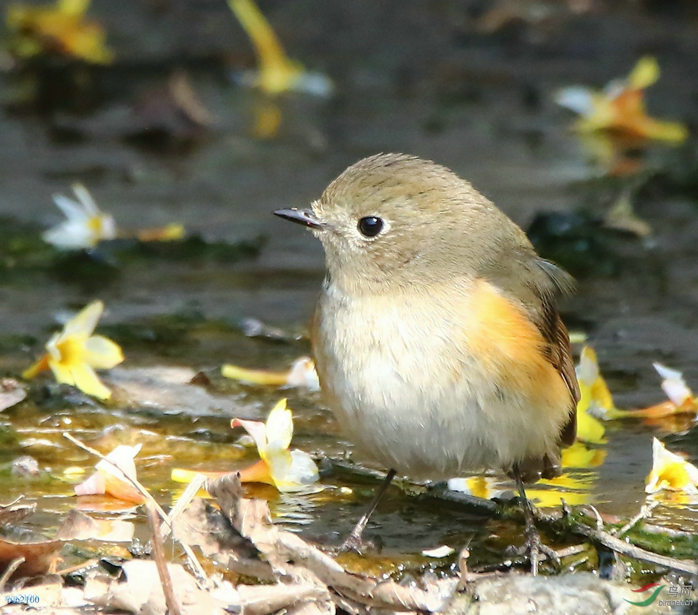 7D2+150-600��C��