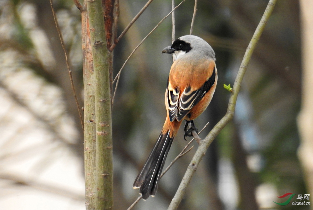 DSCN6717 ����.jpg