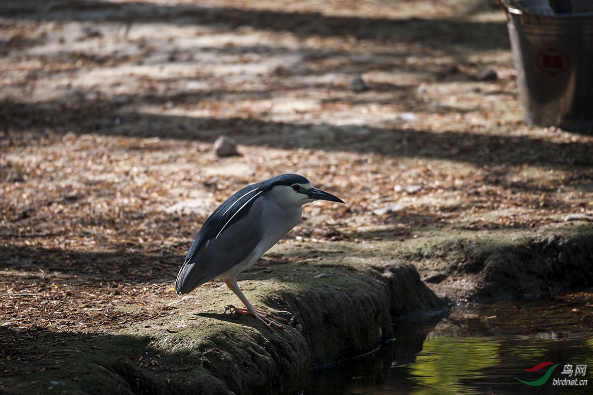 DSC_2682.jpg