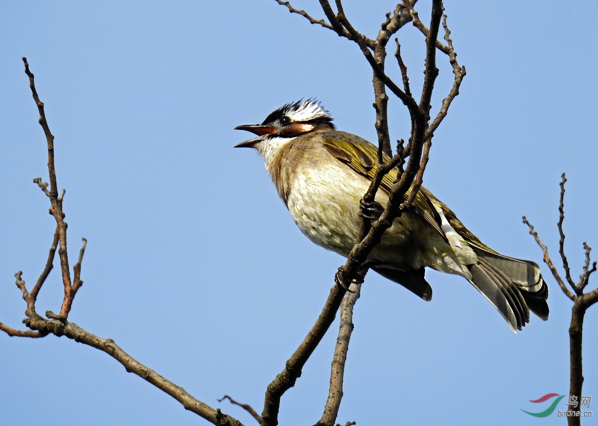 DSCN7554 ����.jpg