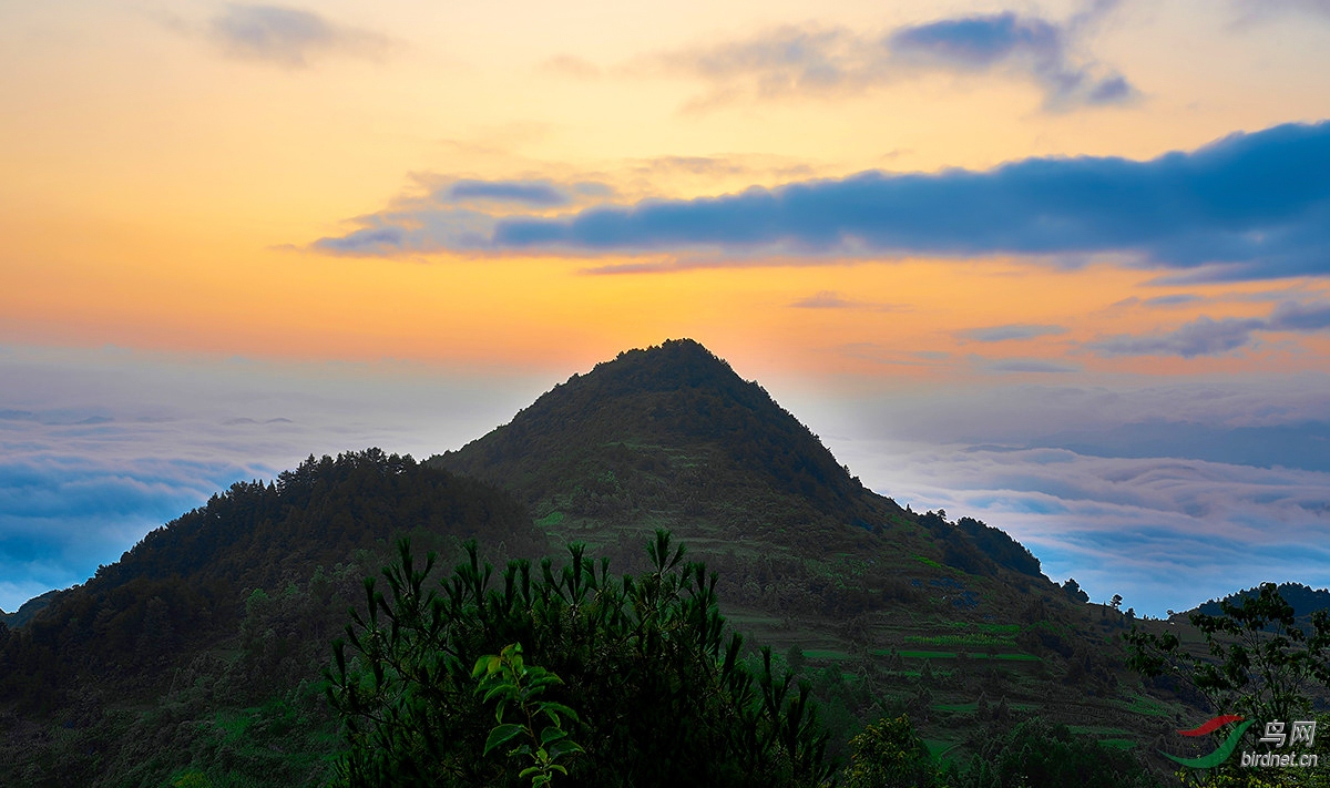 小高山观景