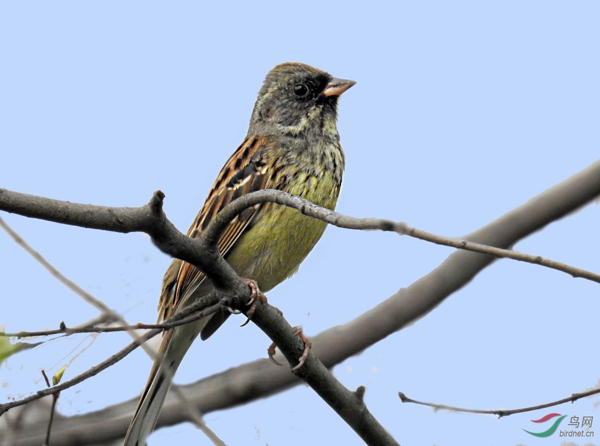 DSCN7923 ����.jpg