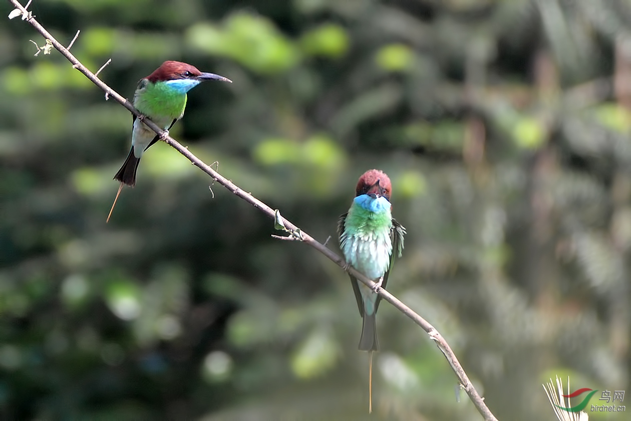 DSC_6618.JPG