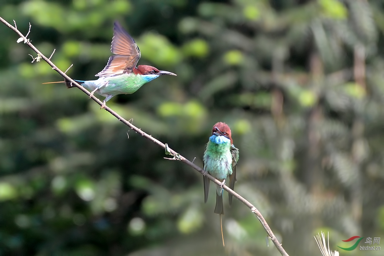 DSC_6619.JPG