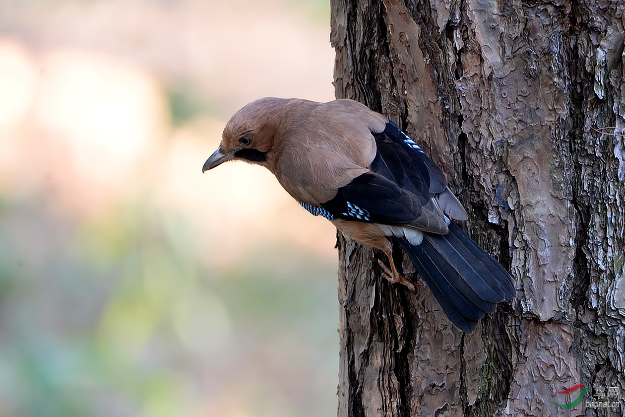 DSC_9275.JPG
