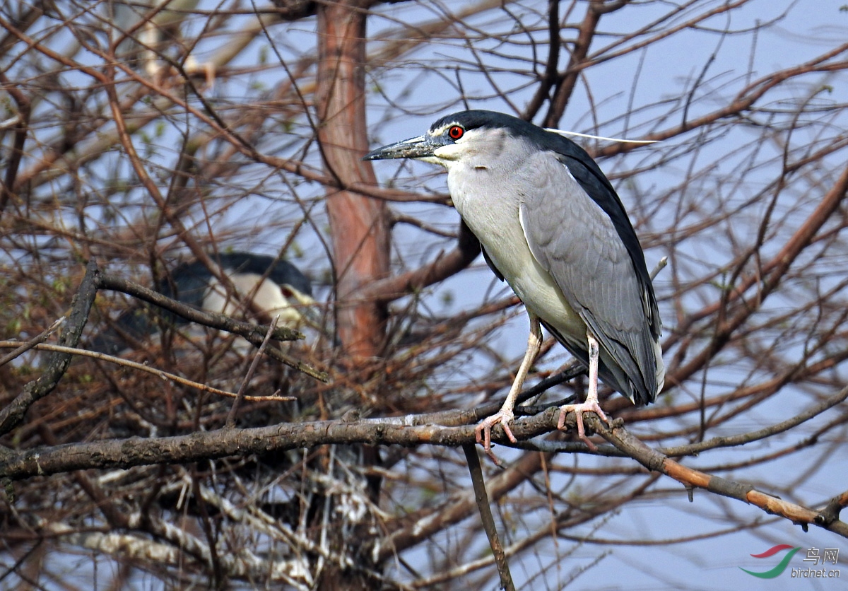 DSCN7261 ����.jpg