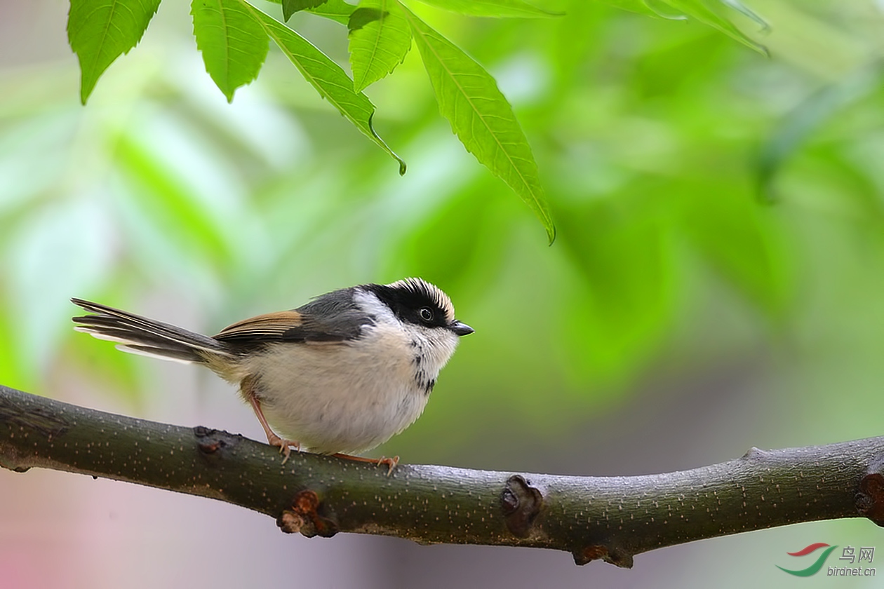 DSC_9924.JPG