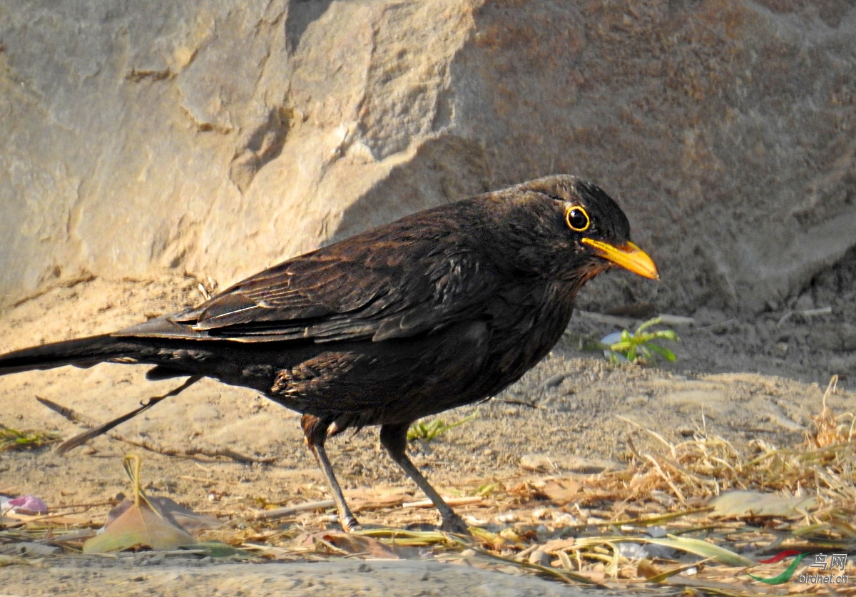 DSCN6990 ����.jpg